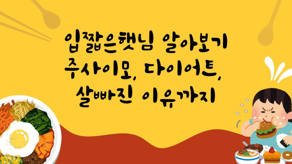 입짧은햇님 알아보기 - 주사이모, 다이어트, 살빠진 이유까지